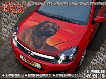 Opel Astra. Аэрография "Пёс". Фото 3